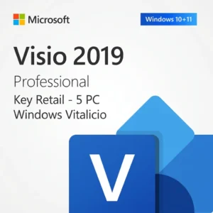 Microsoft Visio 2019 Professional | Retail | 5 PC Windows | Vitalicia