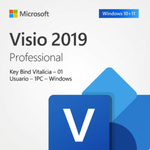 Microsoft Visio 2019 Professional | Bind | 1 Usuario | 1 PC | Vitalicia | Windows