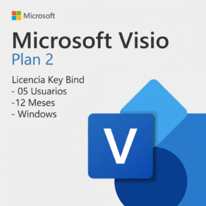 Microsoft Visio Plan 2 | Bind | 5 Usuarios | 12 Meses | Windows