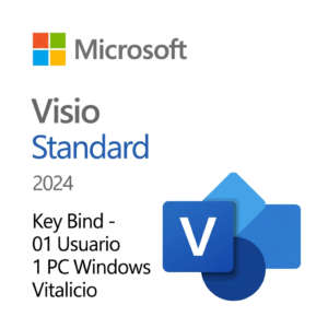 Microsoft Visio 2024 Standard | Bind | 1 Usuario 1 PC | Vitalicia | Windows