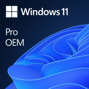 Microsoft Windows 11 Pro | OEM | 1 PC | Vitalicia