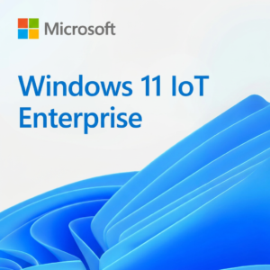 Microsoft Windows 11 IoT Enterprise | Retail | 1 PC | Vitalicia
