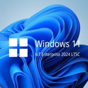 Microsoft Windows 11 IoT Enterprise LTSC 2024 | Retail | 1 PC | Vitalicia
