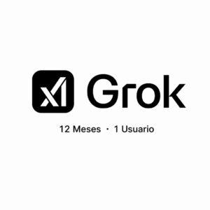 Grok AI | Cuenta Privada | 1 Usuario | 12 Meses