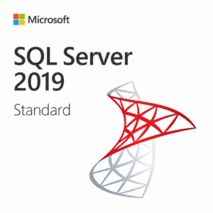 Microsoft SQL Server 2019 Standard | Retail | 1 Usuario | Vitalicia